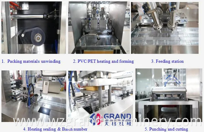 Dpp-180h Automatic Blister Packing Machine Sesame Paste Peanut Butter Honey Blister Packing Machine